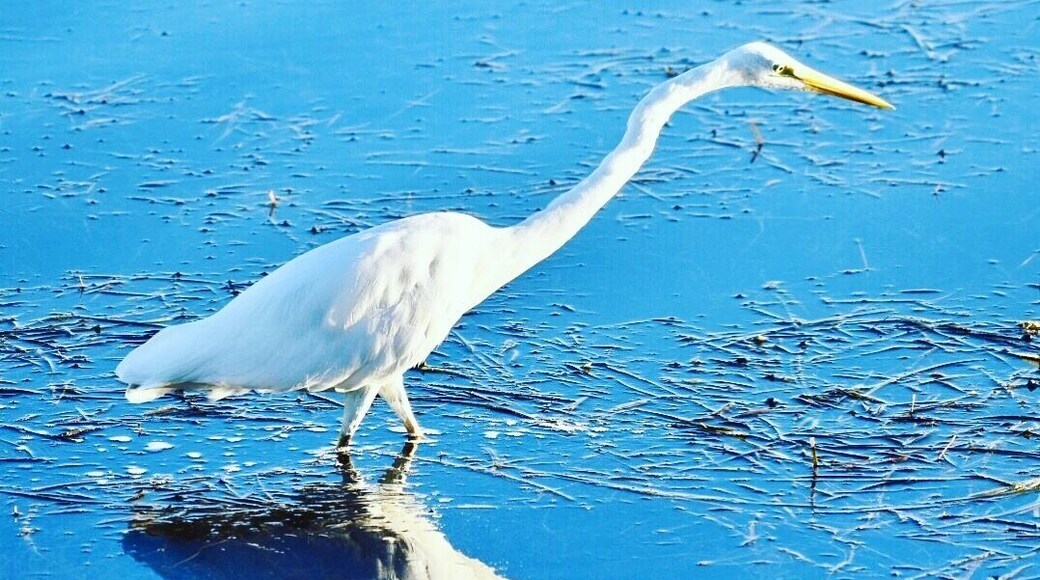 #Springfun great place to stay and explore