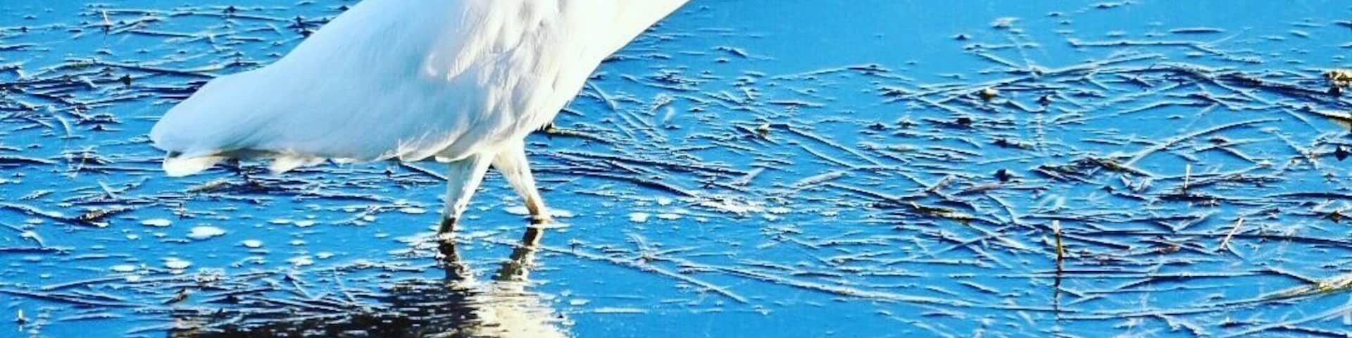 #Springfun great place to stay and explore