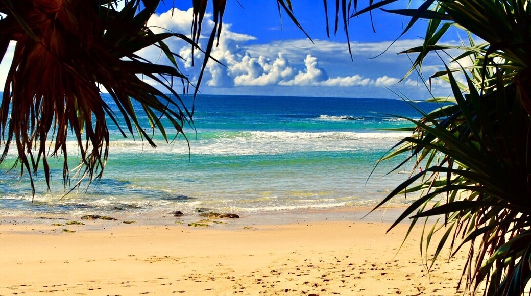 #Springfun One of NSW beautiful beaches