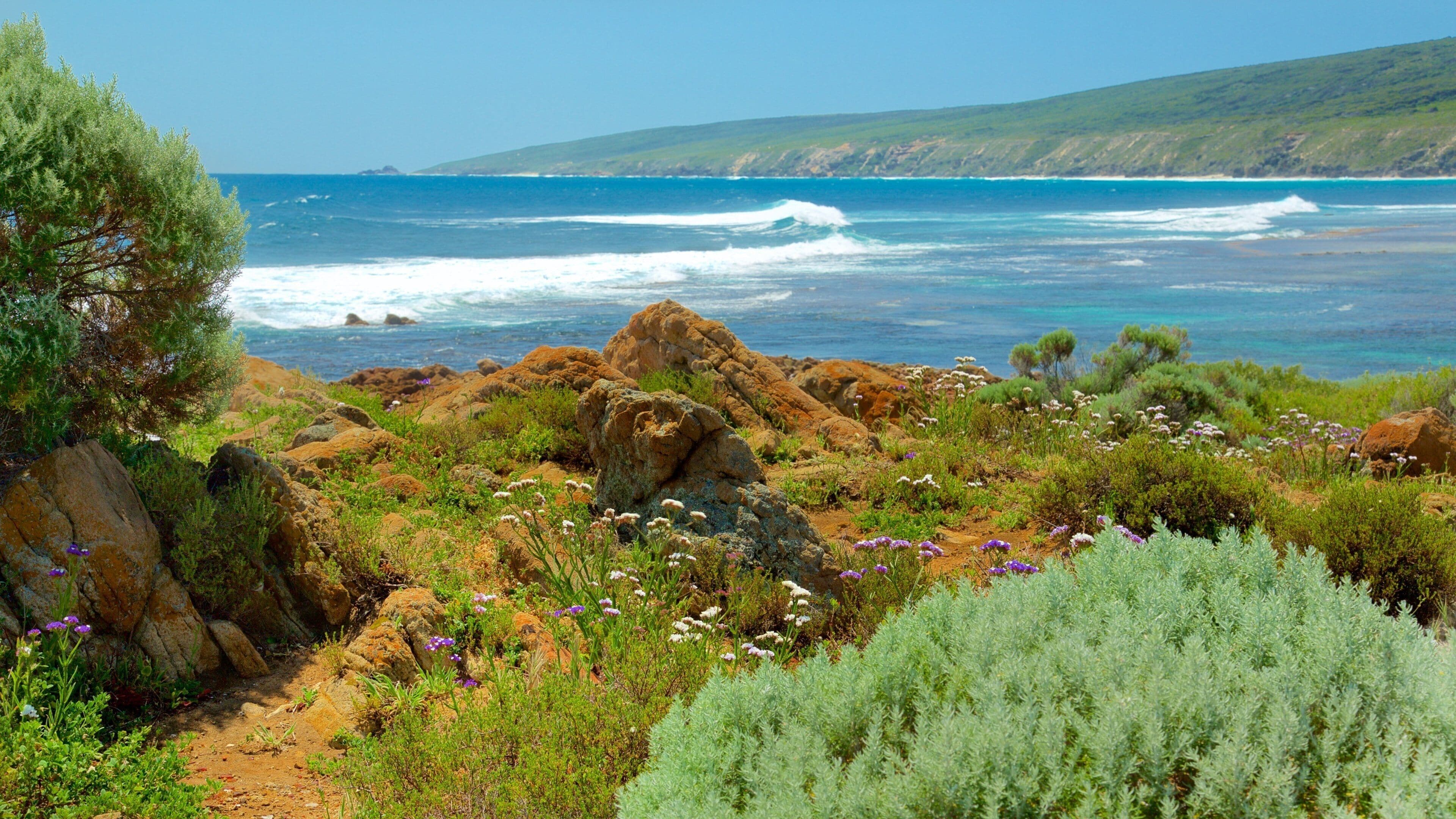 Yallingup featuring kallioinen rannikko, kukat ja aallot