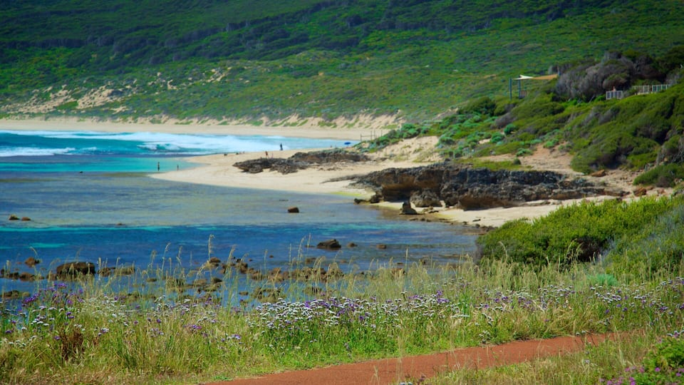 Yallingup mostrando una playa, flores y litoral accidentado