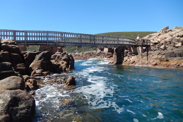 The surf is forced through this narrow channel.Swimmers get pushed back + forth in the water under this walkway.
