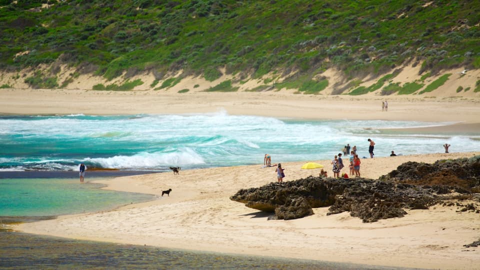Yallingup ofreciendo una bahía o un puerto, vistas de una costa y una playa