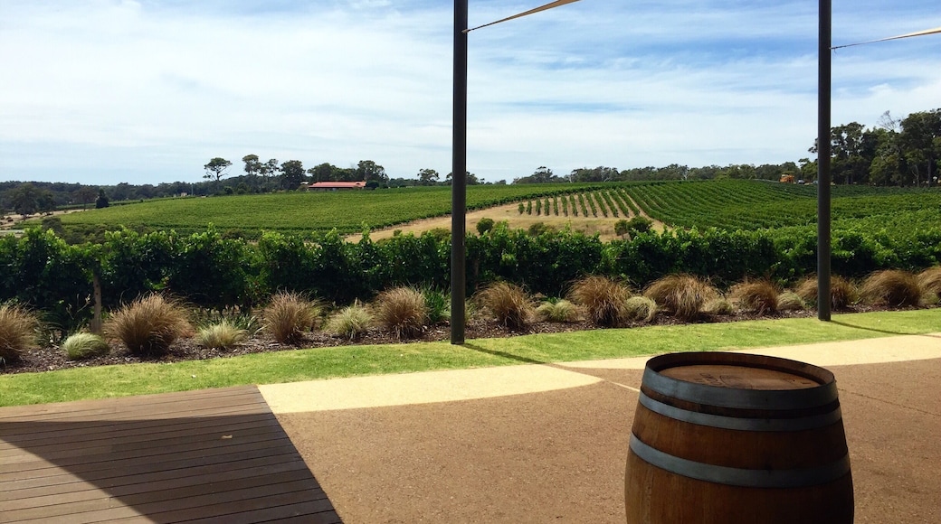 Will's Domain is one of my favourite lunch spots in #MargaretRiver #Australia. Fabulous food, great wine, stunning views and a playground for the kids.