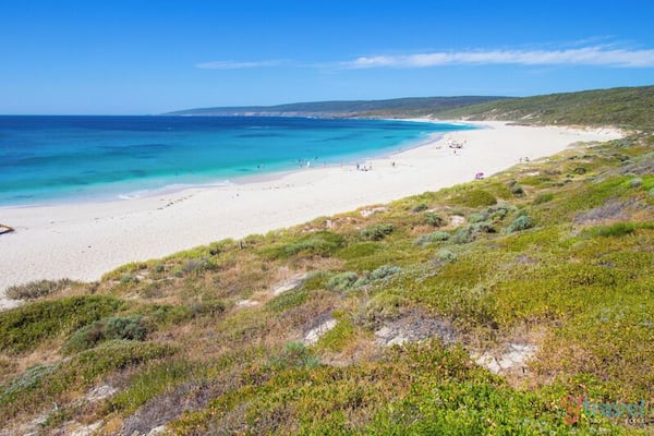 Smiths Beach in the Margaret River region of Western Australia is another one of WA's gorgeous beaches! An expansive flat beach with more of that pure-white sand and beautiful blue water. We enjoyed a few swims here and it seemed one of the more popular beaches in the region.
Besides the bathers I noticed quite a few boogie boarders getting amongst the scene.