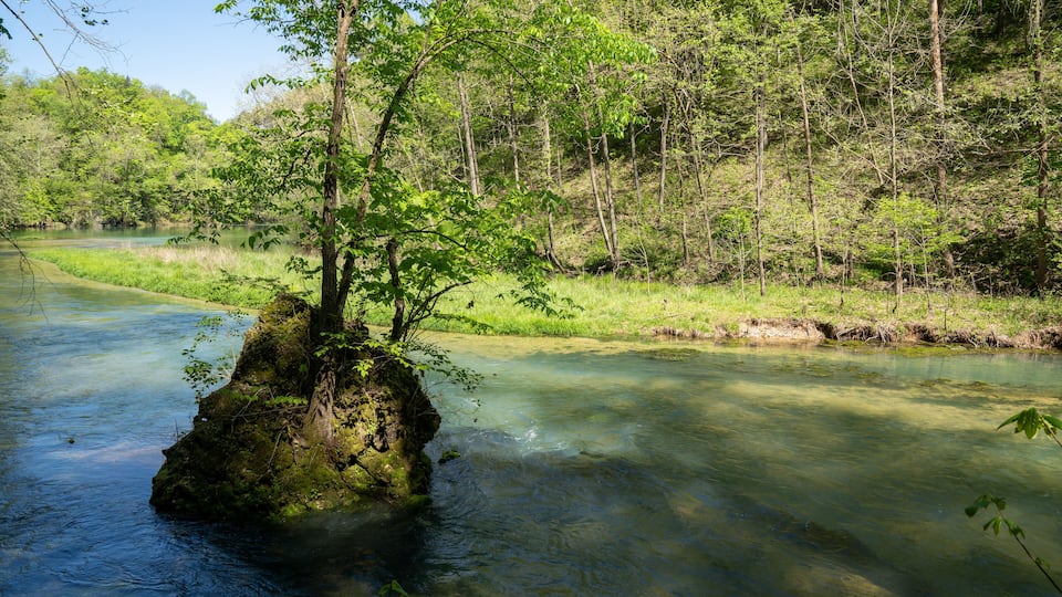 A river with clear water, surrounded by lush greenery and trees.