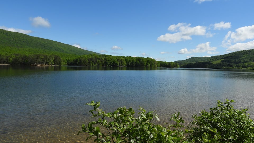A calm lake surrounded by lush green hills under a clear blue sky.