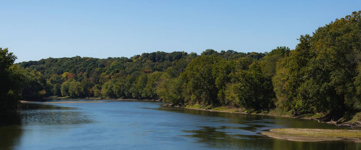 A river surrounded by dense forest.