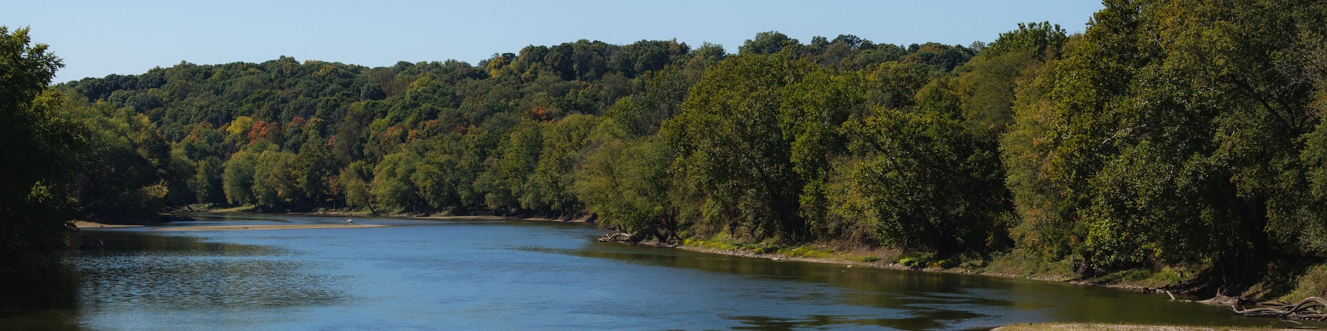 A river surrounded by dense forest.