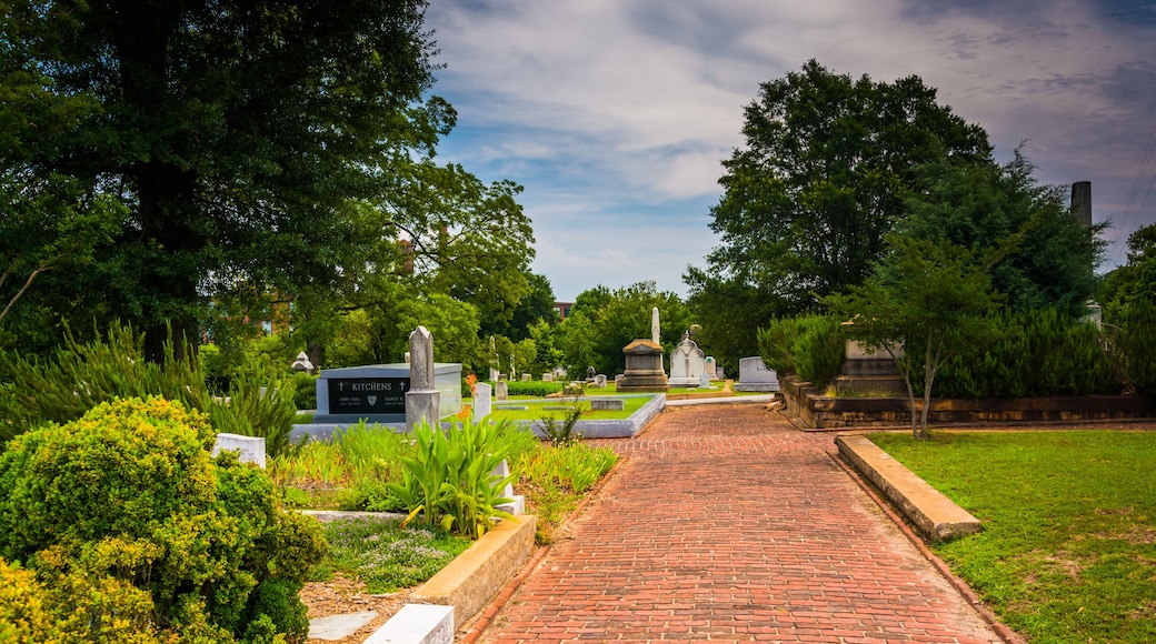 Graves and bushes at Oakland Cemetary in Atlanta, Georgia.