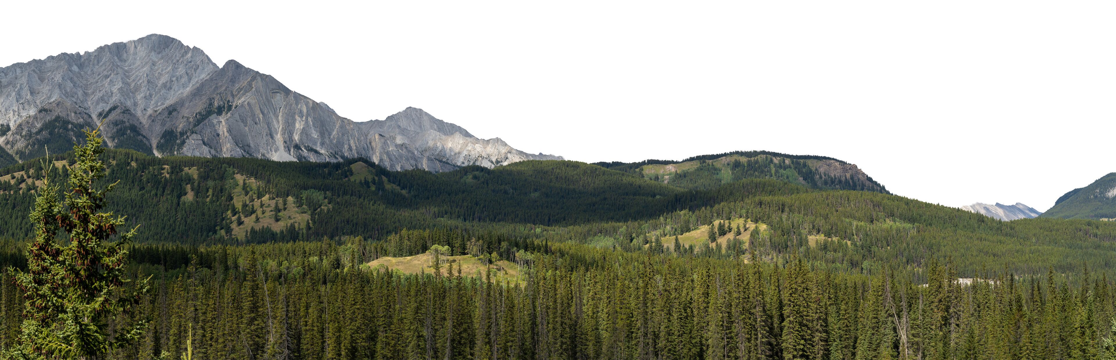 A mountainous landscape with dense forests and rugged peaks.