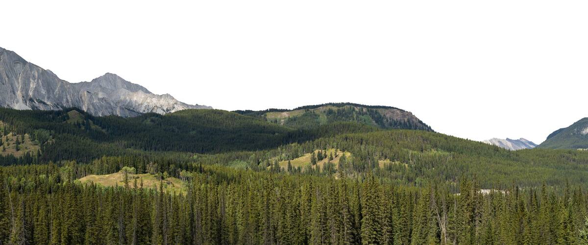 A mountainous landscape with dense forests and rugged peaks.