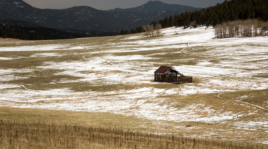 ERGGRB Evergreen, Colorado - An old barn in Elk Meadow Park.