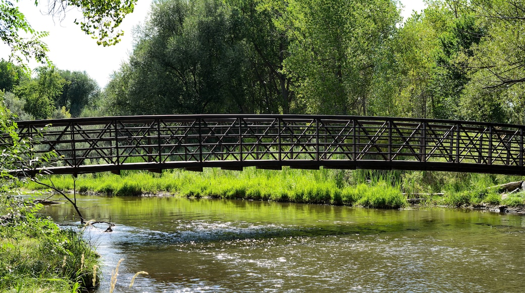 Summer Creek - A iron trail bridge over a full summer creek. Bear Creek, Denver-Lakewood, Colorado, USA.