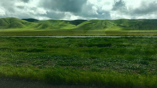 The hills are so green with all the rain. Highway 46