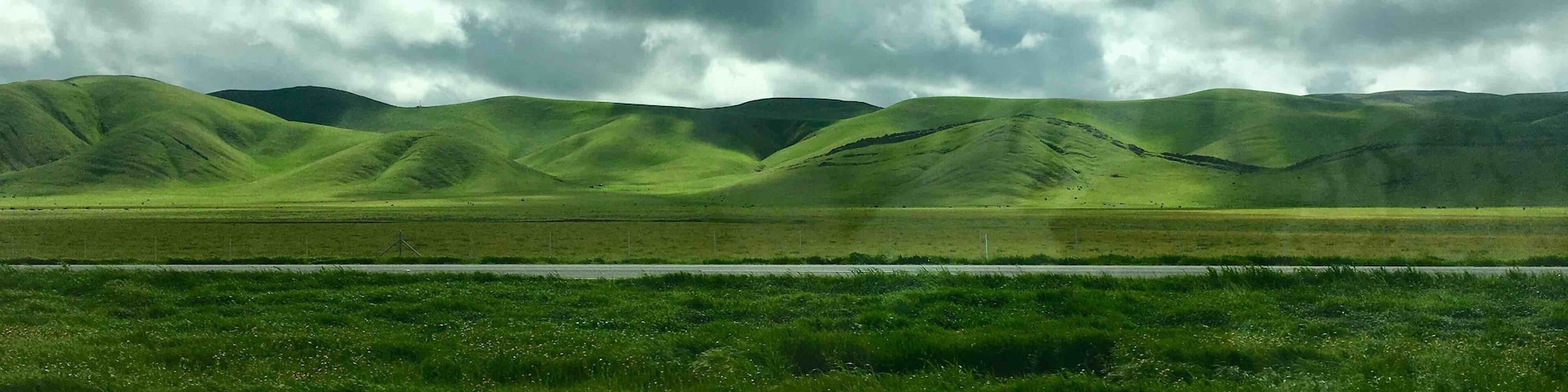 The hills are so green with all the rain. Highway 46