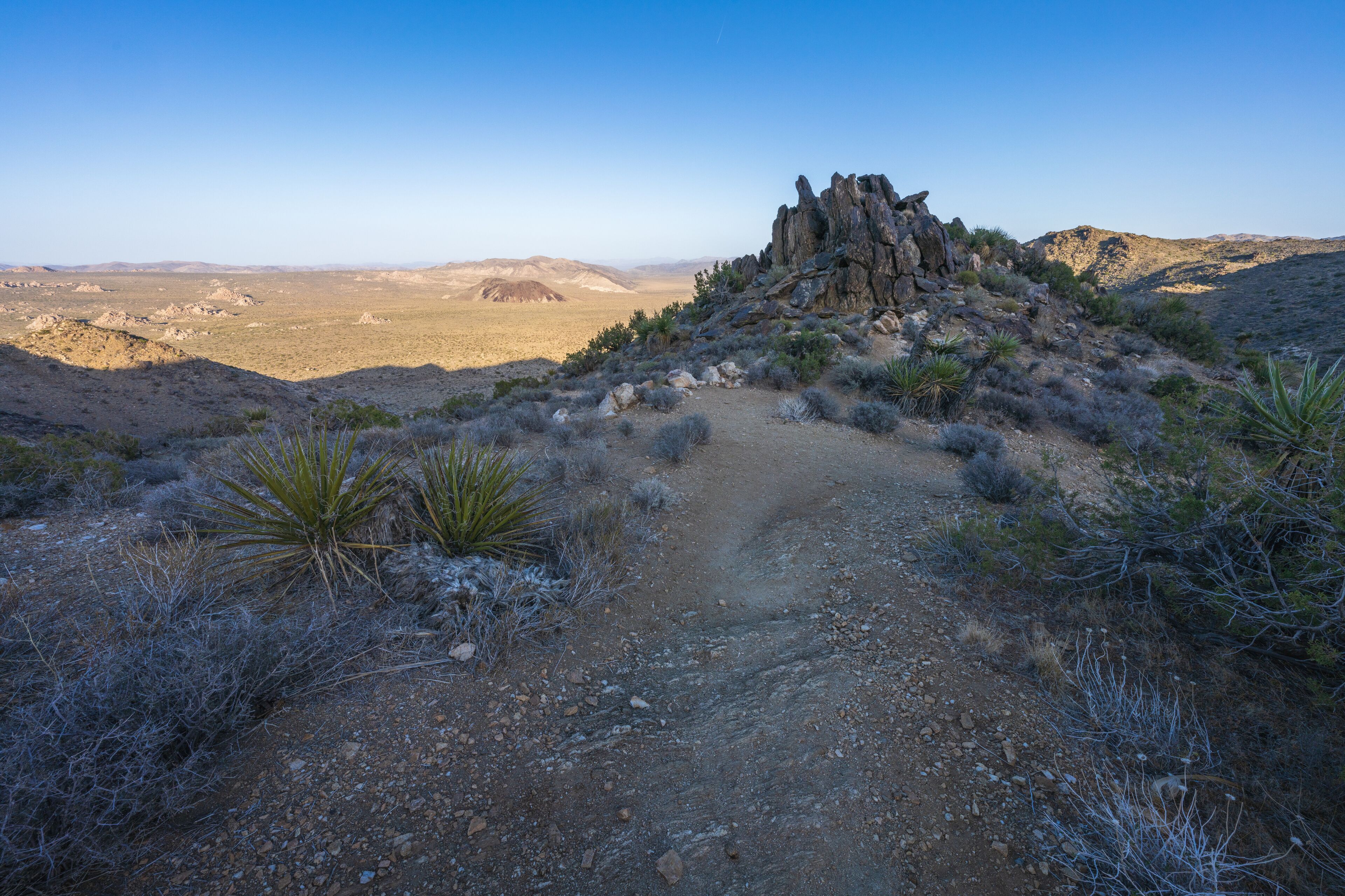 hiking the lost horse mine loop trail in joshua tree national park, california, usa