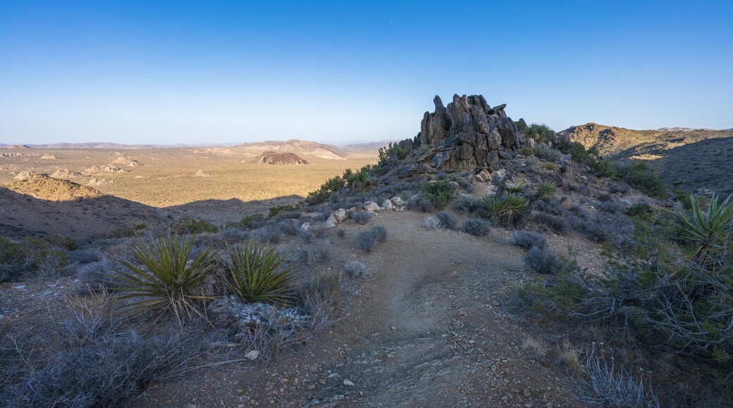 hiking the lost horse mine loop trail in joshua tree national park, california, usa