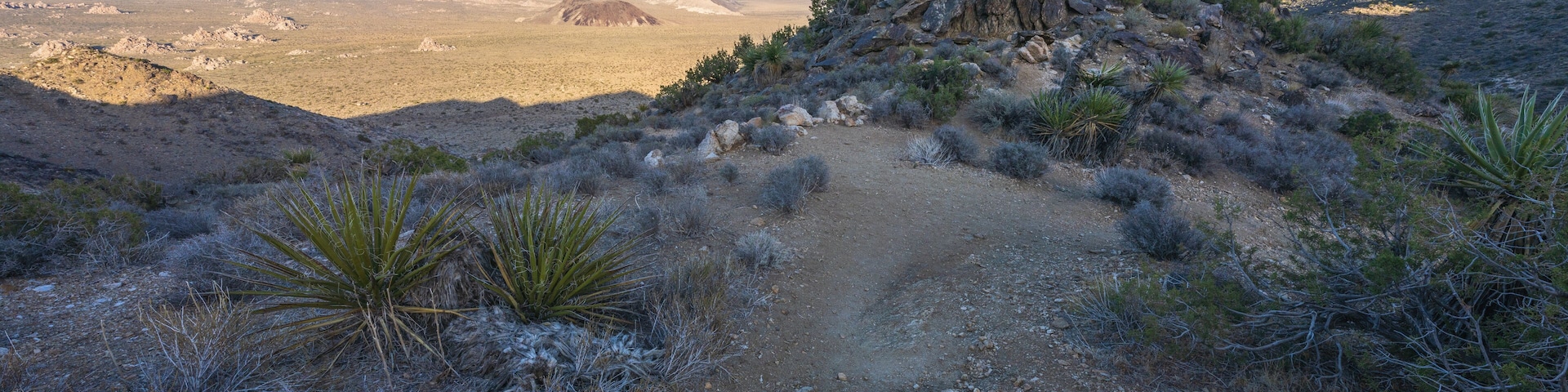 Una colina rocosa con un sendero visible que asciende, rodeada de vegetación desértica dispersa.