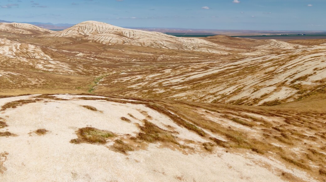 Desert hills covered in dry brown grass texture. Lost Hills, California, United States of America.