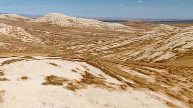 Desert hills covered in dry brown grass texture. Lost Hills, California, United States of America.