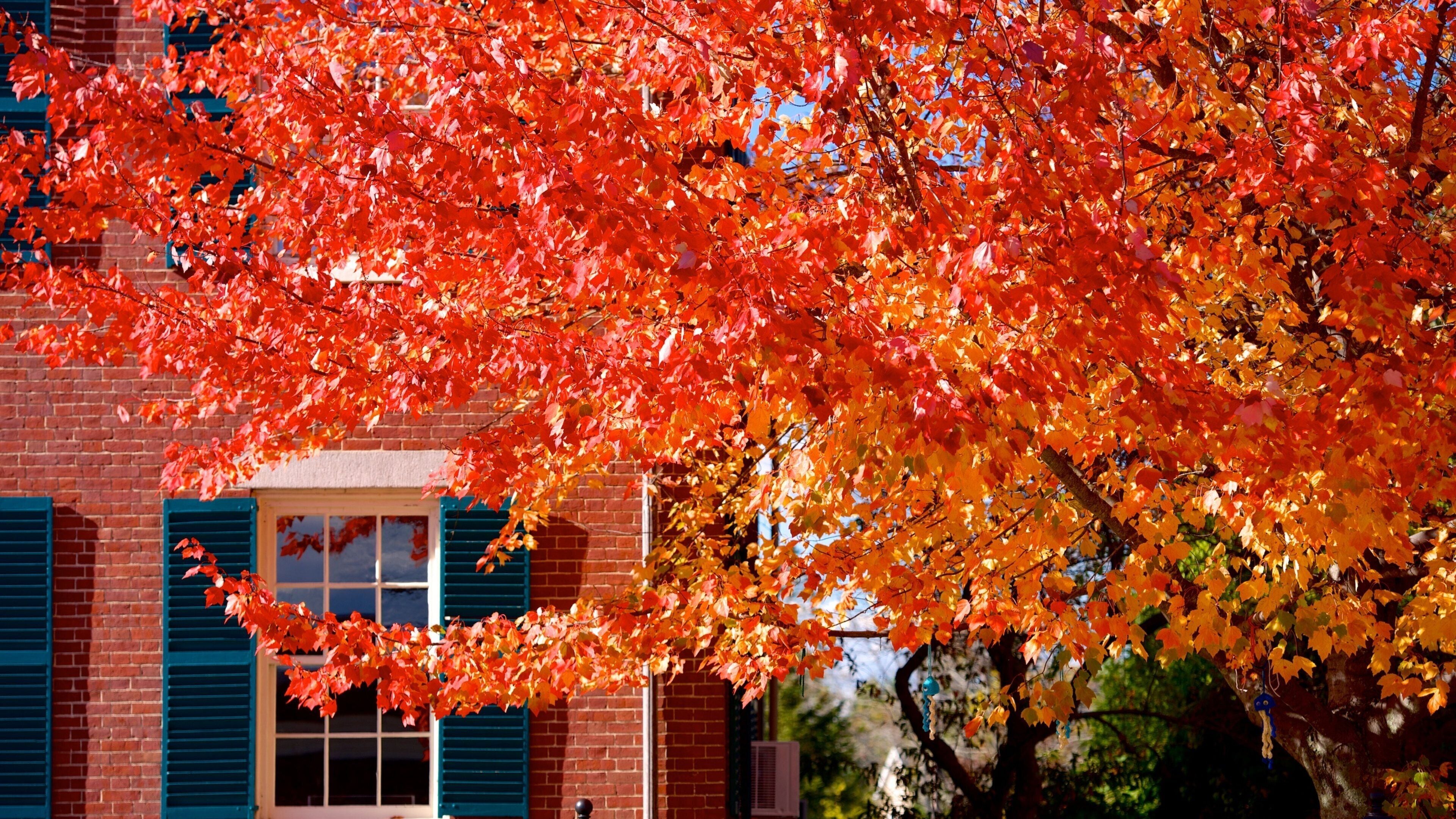 A building with red and orange autumn leaves.