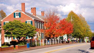 Freeport featuring a city and fall colors