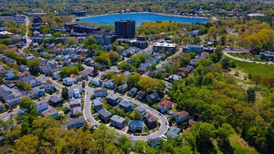 Brighton historic residential area and Chandler Pond aerial view in spring, city of Boston, Massachusetts MA, USA.
