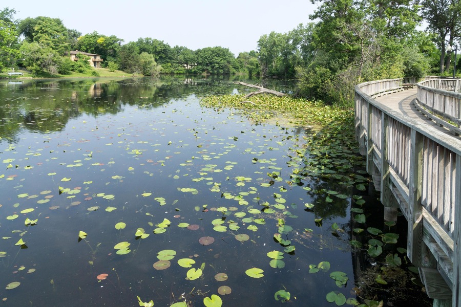 E6662B The boardwalk over the Mill Pond in Brighton, Michigan