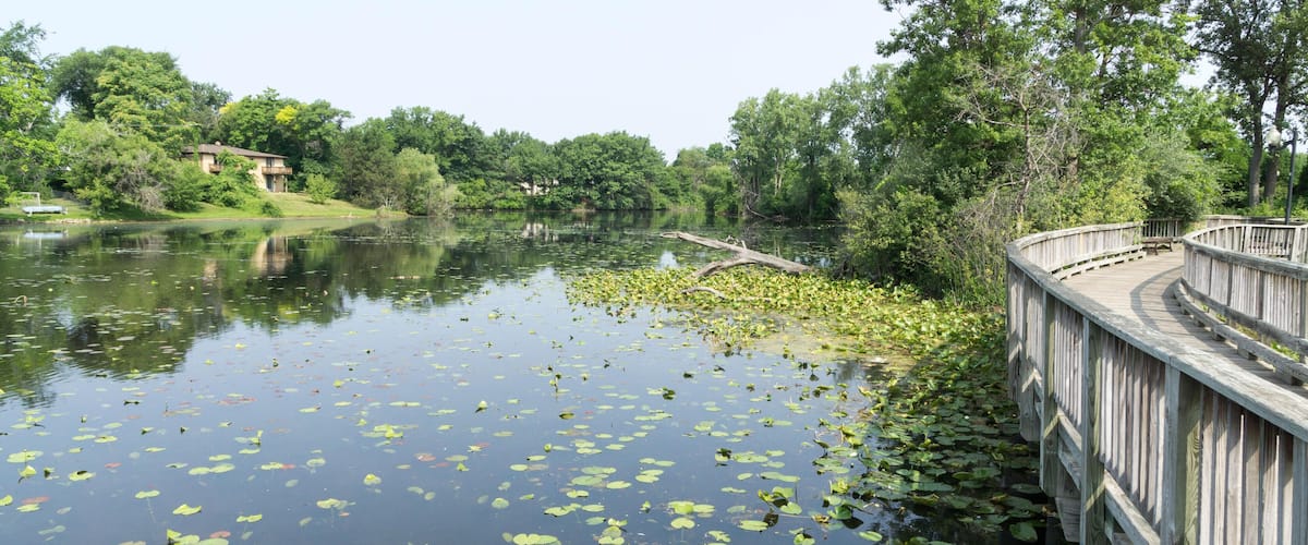 E6662B The boardwalk over the Mill Pond in Brighton, Michigan
