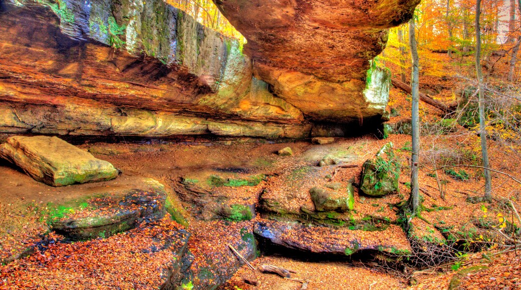 Rockbridge