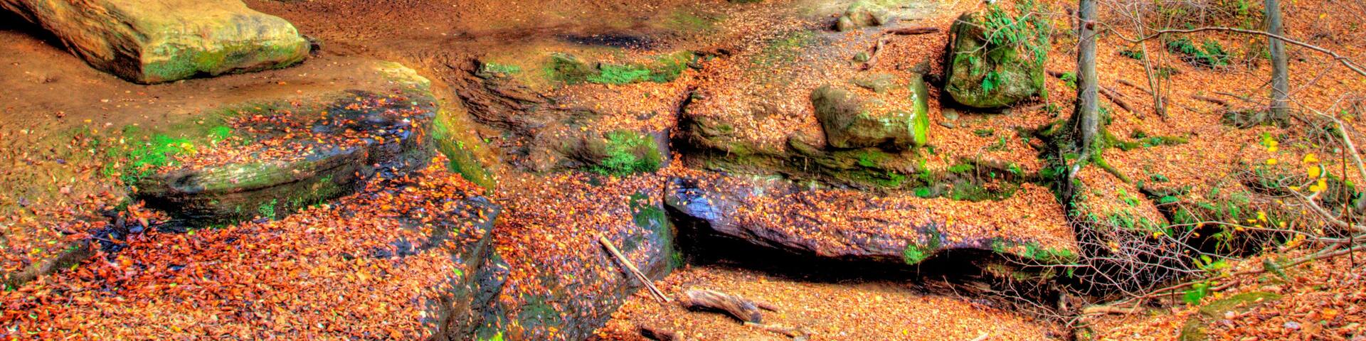 Rockbridge State Nature Preserve in Autumn, Ohio