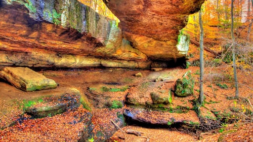Rockbridge State Nature Preserve in Autumn, Ohio