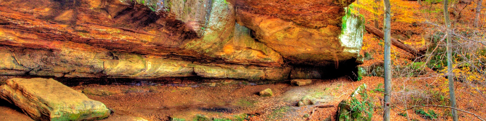 A forest with a large rock formation and autumn leaves.