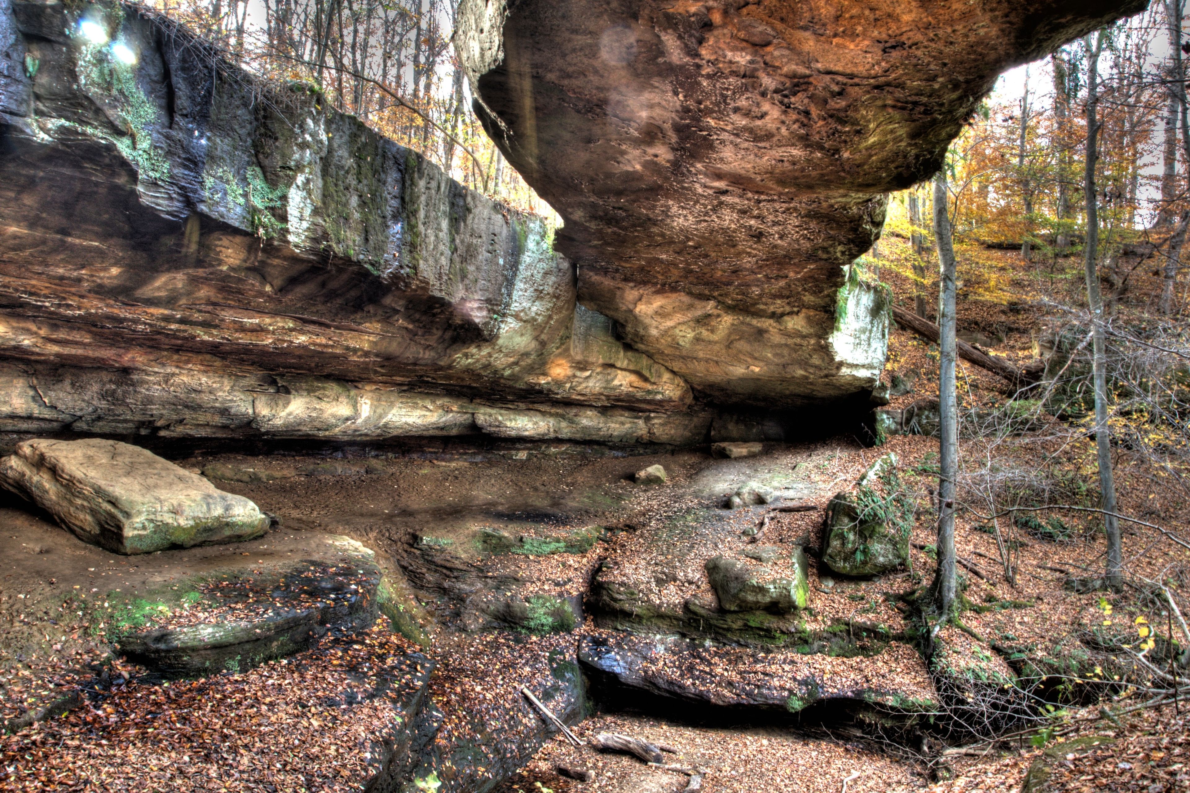 A forest with a large rock formation, a stream, and autumn leaves.