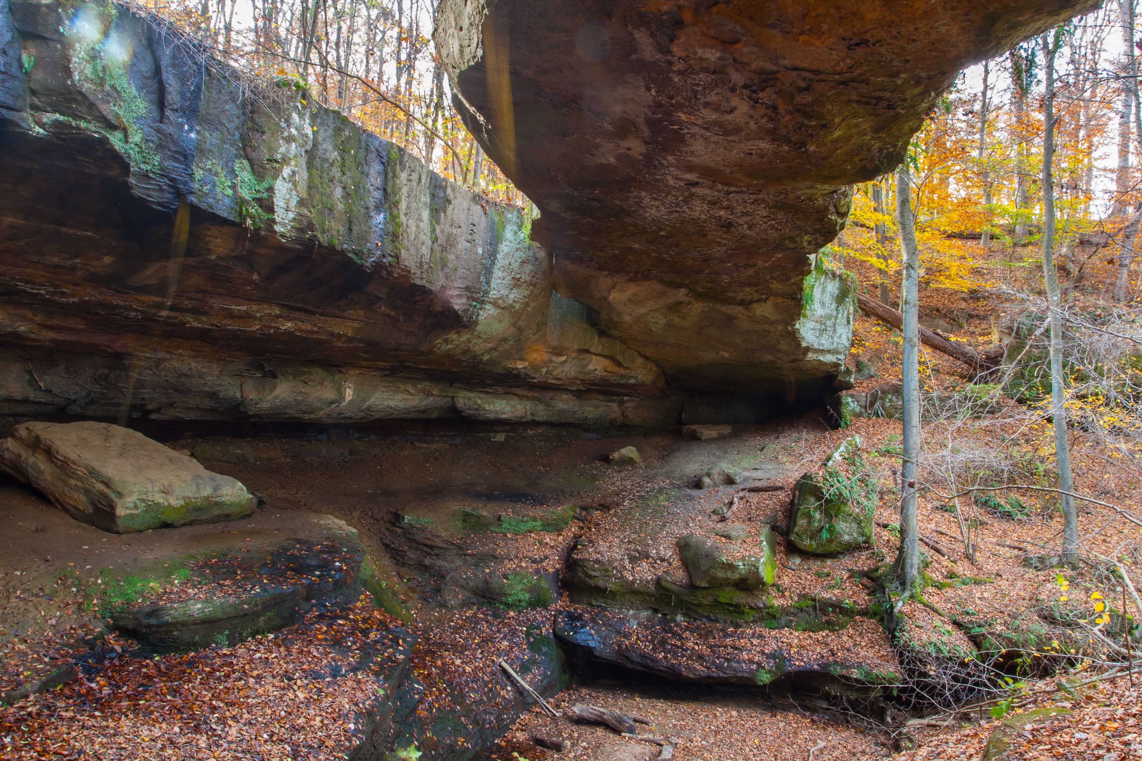 A rocky terrain with moss-covered stones and a forested area with autumn-colored leaves.