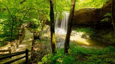 Charleston Falls, Charleston Falls Preserve, Tipp City, Ohio
