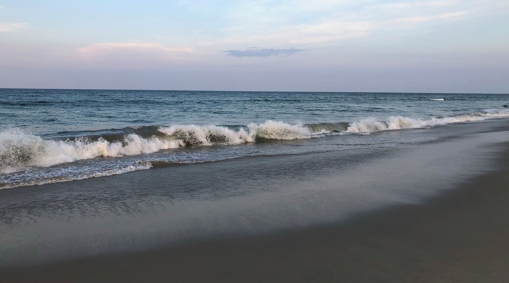Walking the beach of Corolla.