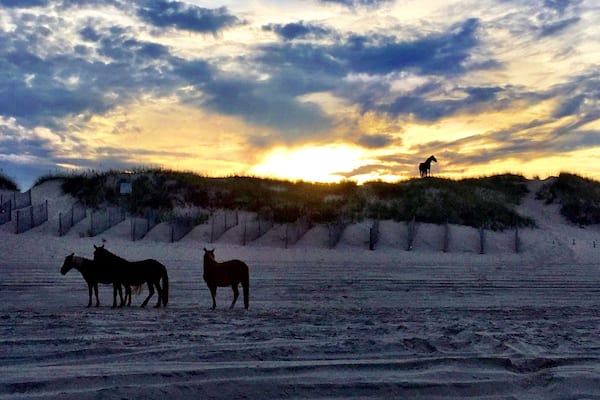 A beach with horses and a sunset.
