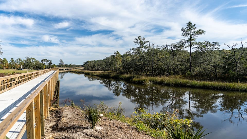 A wooden boardwalk over a calm river, surrounded by dense trees and greenery.
