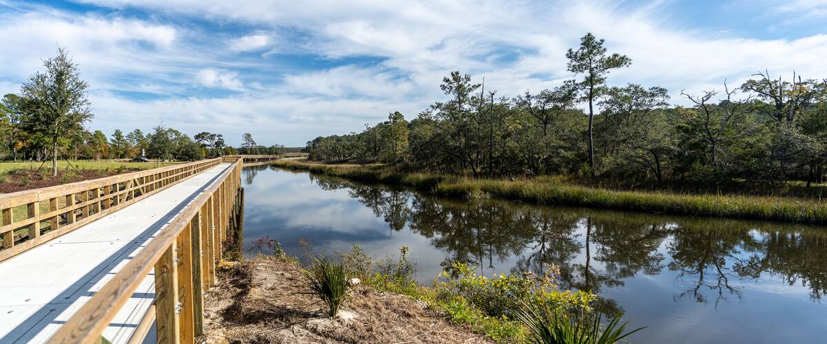 A wooden boardwalk over a calm river, surrounded by dense trees and greenery.