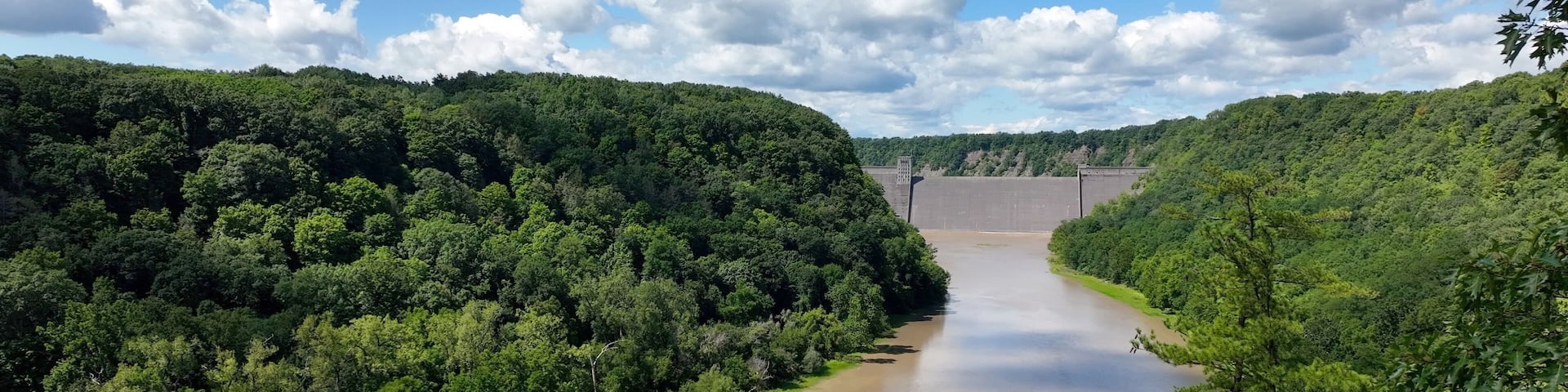A river flowing through a densely forested valley with a dam in the distance.