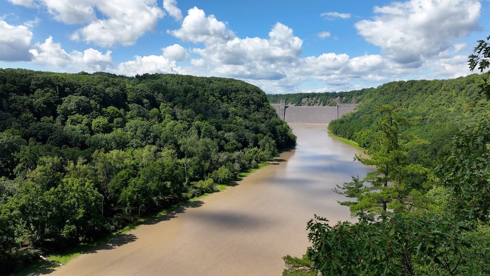 A river flowing through a densely forested valley with a dam in the distance.