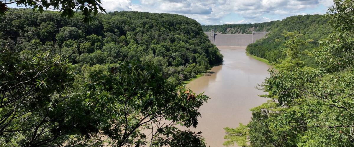 A river flowing through a densely forested area with a bridge in the distance.