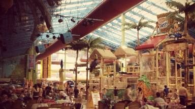 Releasing our inner kids. #indoorwaterpark #winter #wavepool