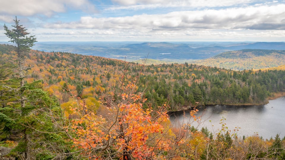 A mountainous landscape with autumn foliage, a lake, and distant hills.