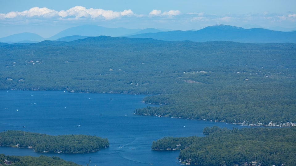 A coastal landscape with a large body of water, surrounded by dense forests and distant mountains.