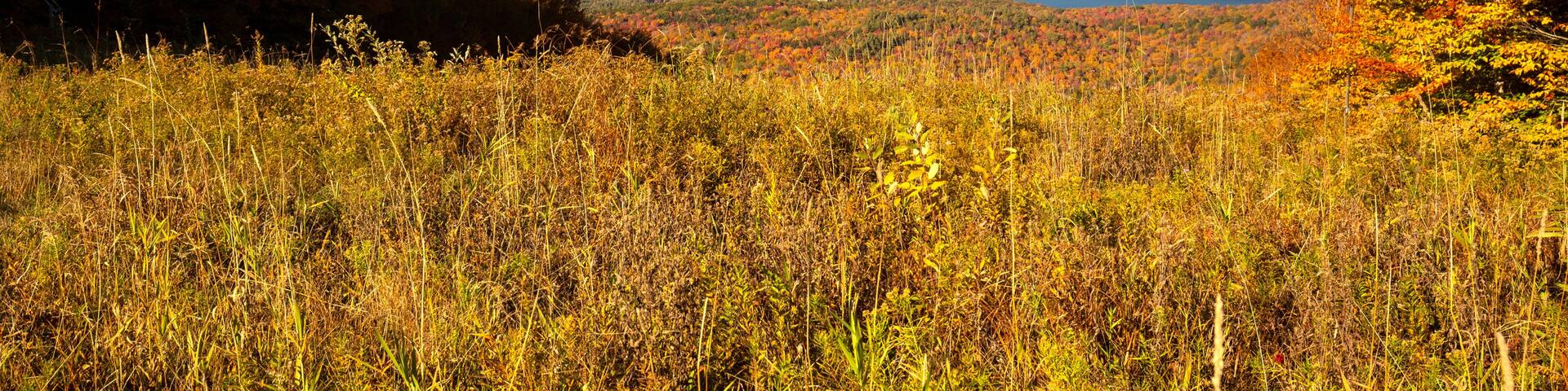 View of Lake Sunapee from an overlook on Mount Sunapee.