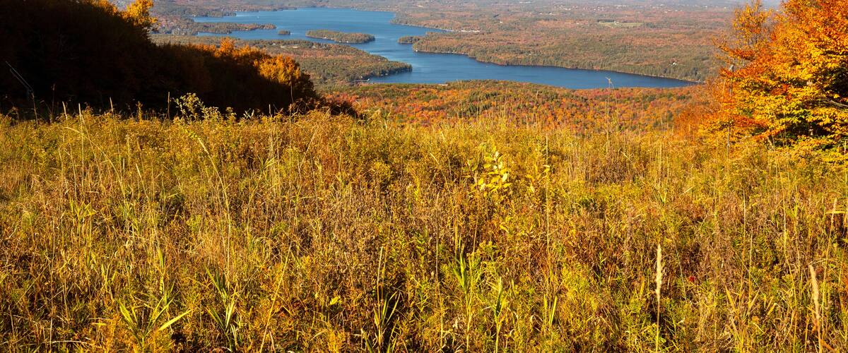 A lake surrounded by autumn foliage and distant mountains.