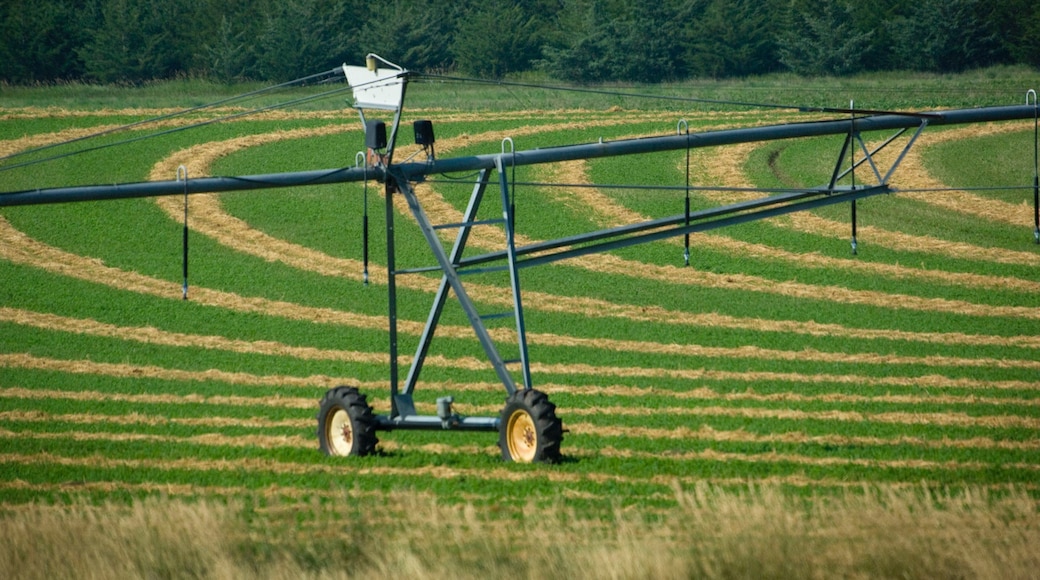 安斯渥斯 呈现出 農場 和 寧靜的景觀